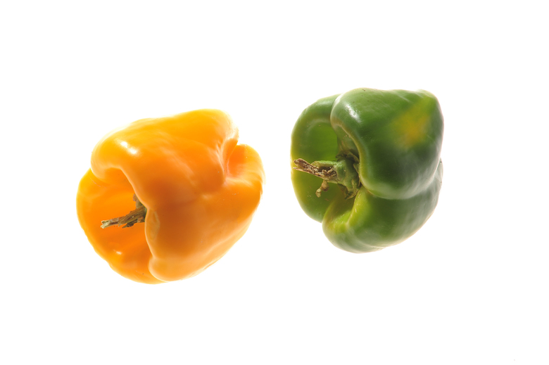 Californian Wonder Orange