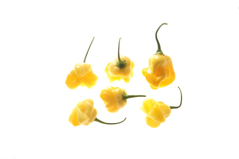 Aji Fantasy