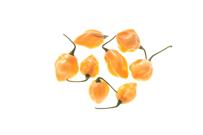 Habanero Pink