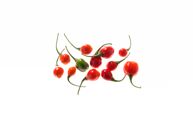 Aji Cochabamba Hot