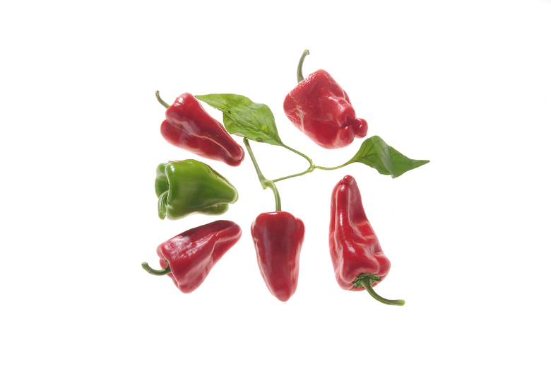 Türkischer Gewürzpaprika