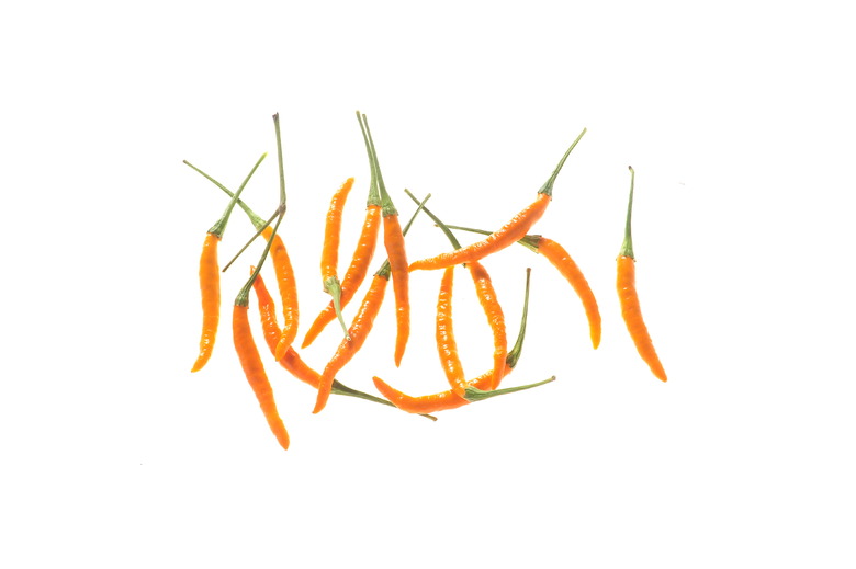 Large Orange Thai