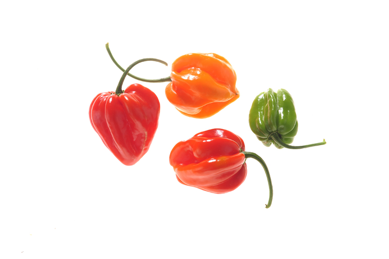 Aji Dulce Rojo