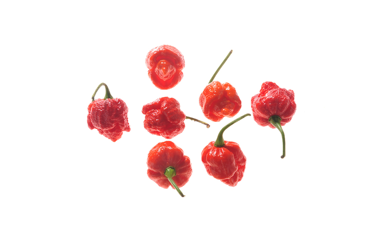 Trinidad Scorpion Moruga Red