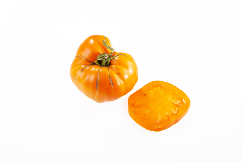 Japanischer Tomatenbaum