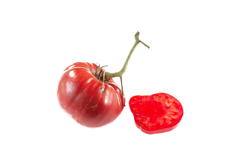 Brandywine Joyce's Strain