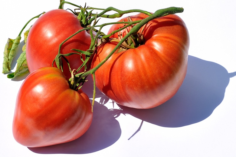Coeur de Boeuf Geant