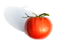 Bulgarisches Herz