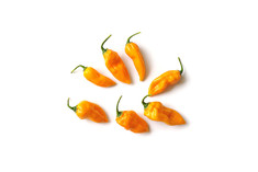 Bonda ma Jacques (Hab)