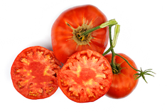 Bush Beefsteak