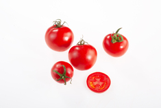 Buschtomate aus Lettland