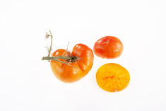 Brandywine Apricot
