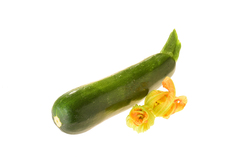 Verte Noir Maraichère