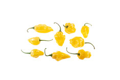 Habanero Carolina Yellow