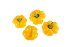 Doe Hill Golden Bell