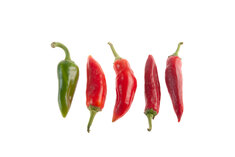 Boldog Hungarian Spice