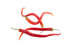 Large Cayenne