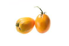 Golden King of Siberia