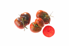 Rotschwarze Hannover