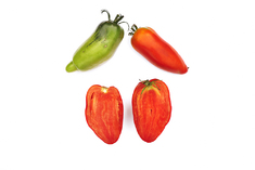 San Marzano Retorta (begrenzt)