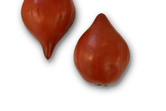 Belgian Heart