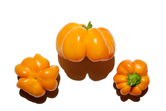 Yellow Cheese Pimento