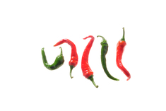 Cayenne