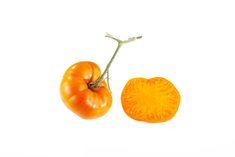 Summer Cider Apricot