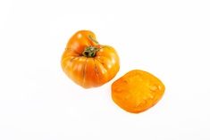 Japanischer Tomatenbaum